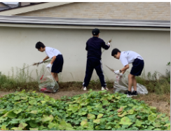 草, 屋外, 建物, 男 が含まれている画像

自動的に生成された説明